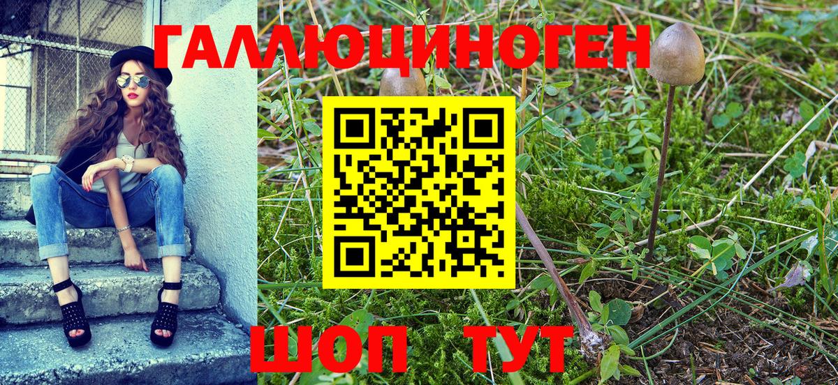 Десногорск  Галлюциногенные грибы MAGIC MUSHROOMS  Вход с VPN 